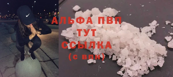 spice Беломорск