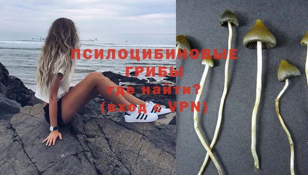 стафф Белоозёрский